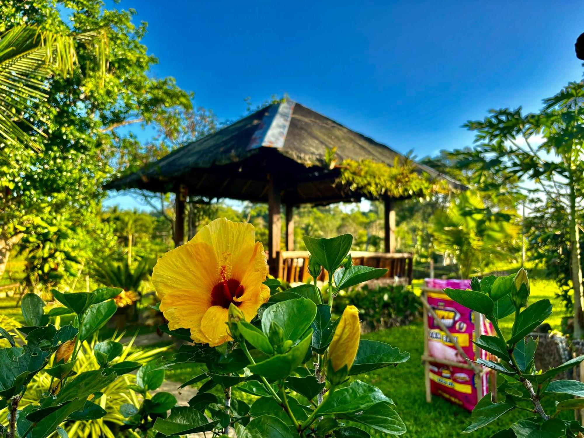 Готель Camelo Farm Bilar Екстер'єр фото